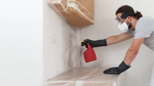 Professional Mold Remediation technician working in Petersburg, VA