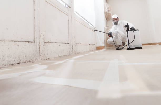 24/7 Emergency Mold Remediation experts in Petersburg, VA