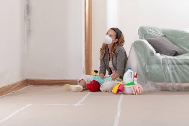 Reliable Mold Remediation contractor in Petersburg, VA by 24 Hour Mold Removal